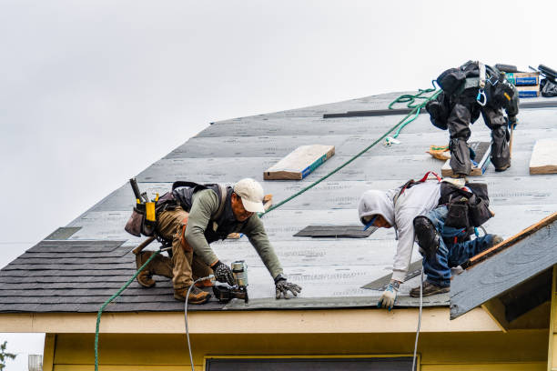 Professional Roof Installation technician working in Paris, ID